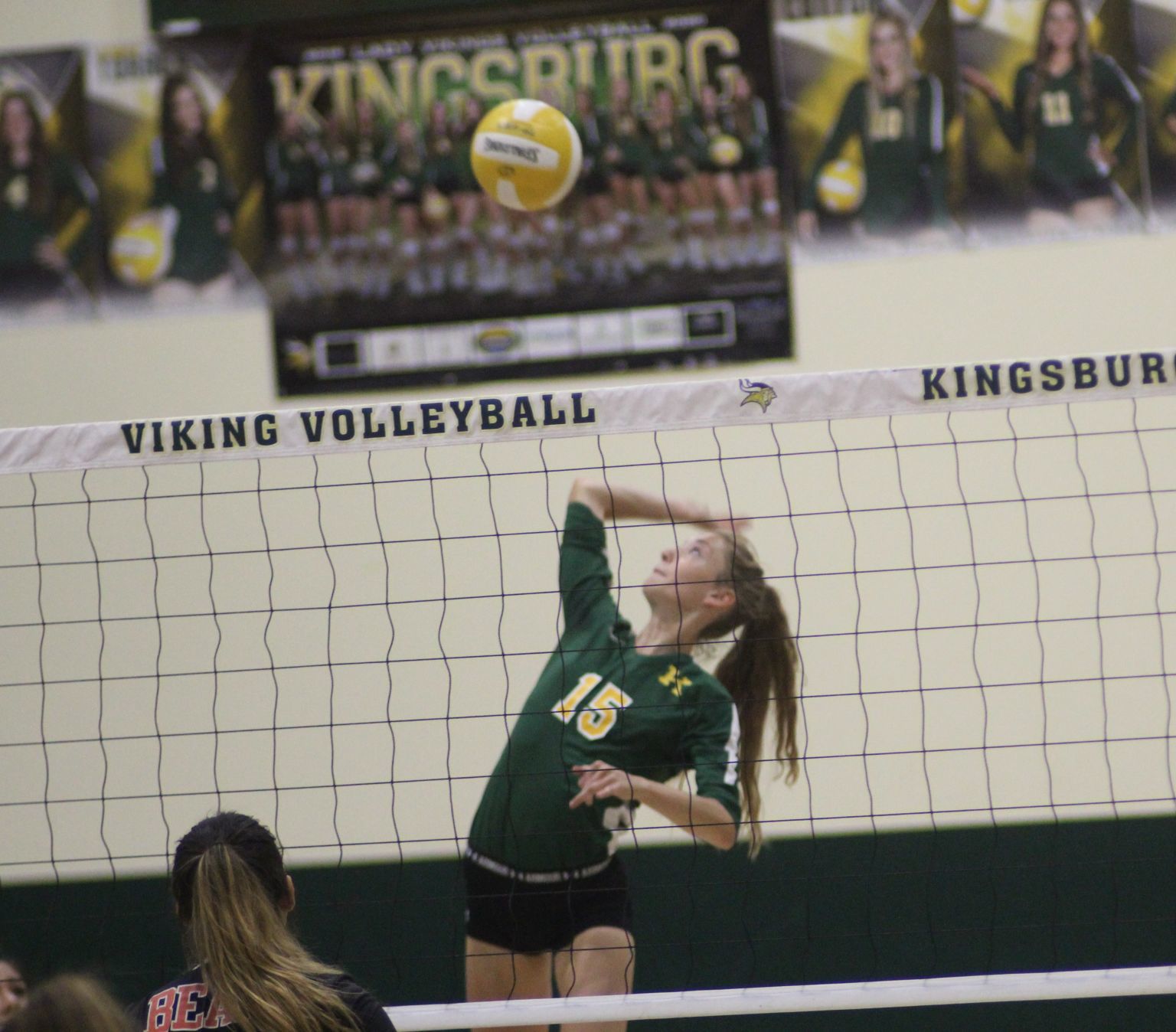 Vikings sweep the Bears on senior night